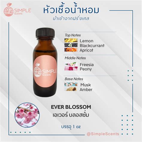 EVER BLOSSOM เอเวอร บลอสซม simplescentsdiy