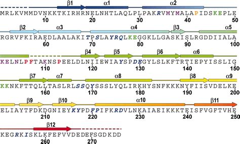 Crystal Structure Of Initiator Proteiniteron Complex Of Plasmid R K