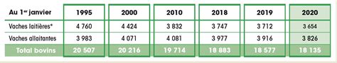 Le Cheptel Bovin Et La Production De Viande Bovine Economie M Tiers