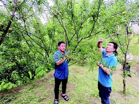 泸州纳溪区：跨区域党建共建打造乡村振兴“新名片” 四川经济日报