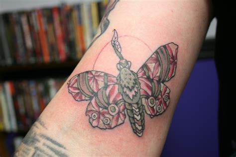 Hawk Moth by Cat Johnson: TattooNOW