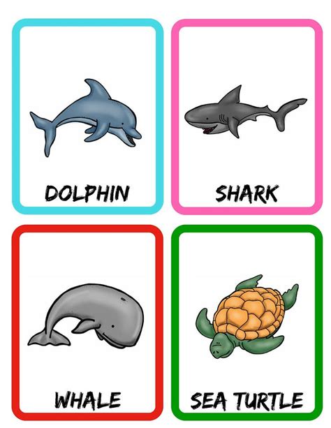 Flash Cards Eagermindsdesigns Printable Flash Cards Flashcards