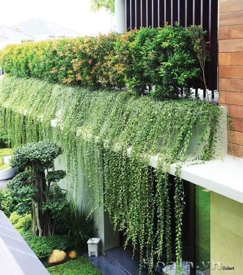 balcony hanging plants ideas architecture green architecture