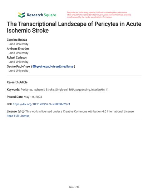 Pdf The Transcriptional Landscape Of Pericytes In Acute Ischemic Stroke