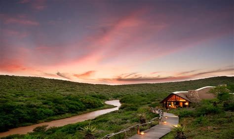 Eastern Cape Game Reserves Best Of South Africa Travel