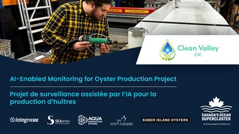 Canadas Ocean Supercluster Announces Maximizing Oyster Production