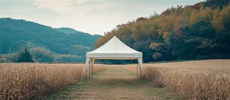 Everything about Pop-up Tents: A Complete Guide