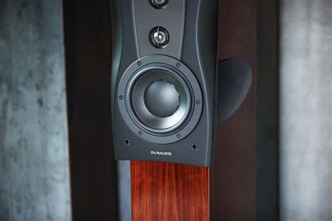 Dynaudio Confidence C Platinum Rosewood Zuilspeaker Iear