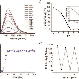 a Fluorescence response of the probe PS OH 20 μM in PBS buffer at