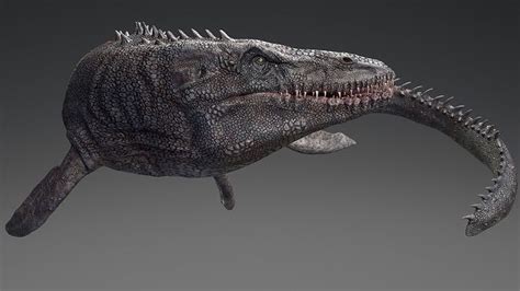 3D model Mosasaurus - Sea Monster Series 4 VR / AR / low-poly rigged animated | CGTrader