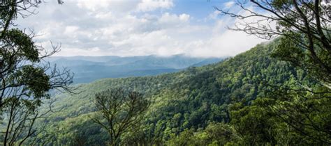 Scenic Rim Trail Brochure - Spicers Retreats