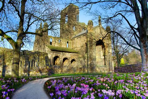 Kirkstall Abbey Photograph by Alison Chambers - Pixels