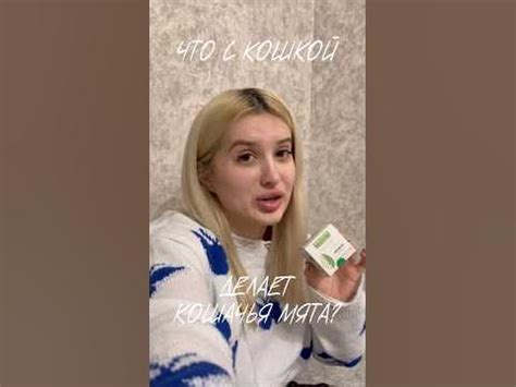КОШАЧЬЯ МЯТА🌿Что она делает с кошкой?🤯 - YouTube