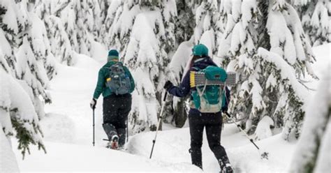 Rovaniemi Excursi N Con Raquetas De Nieve Por La Naturaleza Y Barbacoa