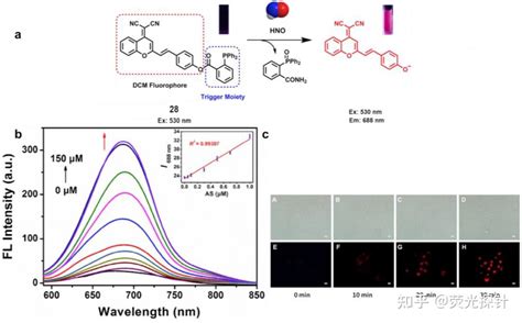 近红外荧光探针综述2016 2020（建议阅读原文） 知乎
