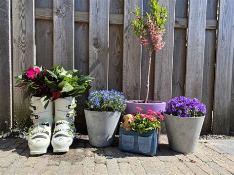 Tuiniertip Maak Van Je Oude Skischoenen Bloempotten