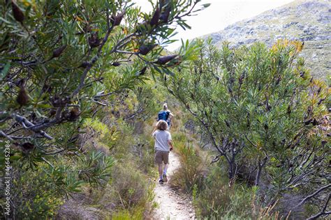 Foto De Hikers On The Fernkloof Nature Reserve Trail Hermanus South