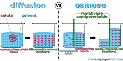 Osmose inverse définition et explications