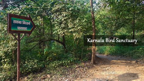 Karnala Bird Sanctuary: One-Day Picnic Spot Near Mumbai