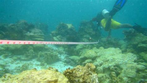 Kerusakan Terumbu Karang Raja Ampat Meter Persegi