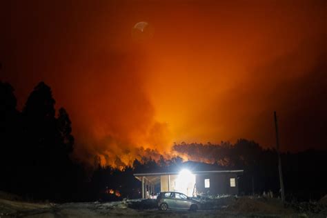 Chile Más De 200 Incendios Forestales Han Matado Al Menos A 13