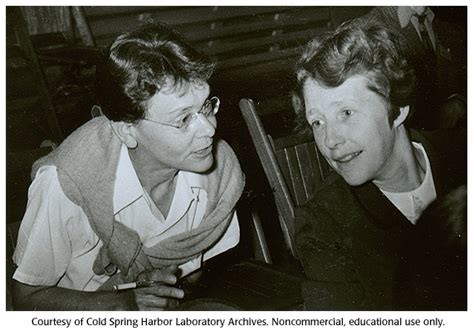 Gallery 32 Barbara Mcclintock And Harriet Creighton 1956 Dna
