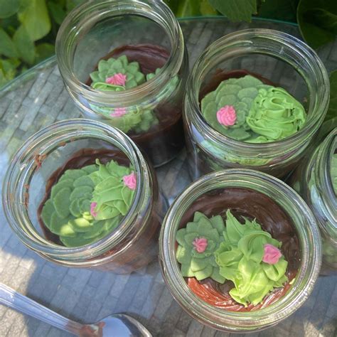 How To Make Terrarium Cake Jars Hobbycraft