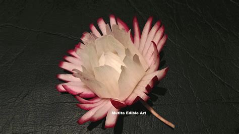 Red Radish Pikul Thai Flower Beginners Lesson By Mutita Art Of