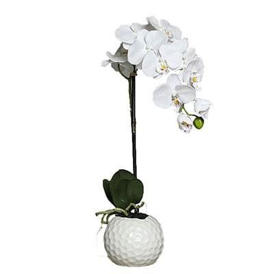 Orchidee Artificielle 1 Hampe En Pot Ceramique Blanc H 46 Cm Du Site