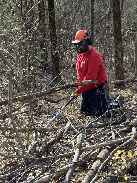 Nature Area Notes | Columbia Audubon Society