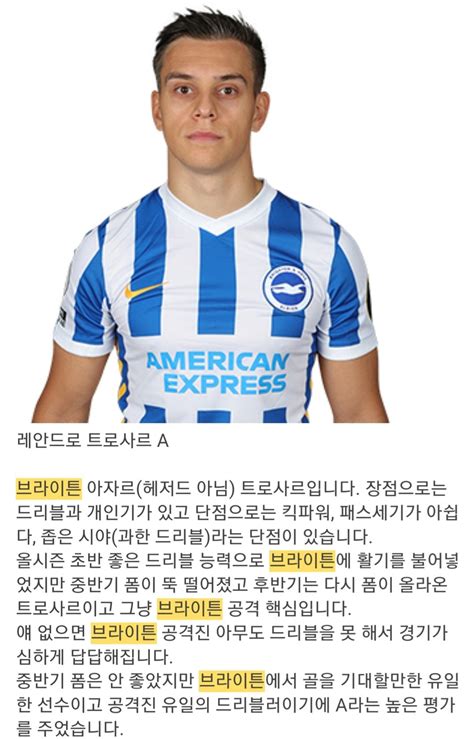 브라이튼 팬 분의 지난 시즌올 시즌 레안드로 트로사르 평가 해외축구 에펨코리아