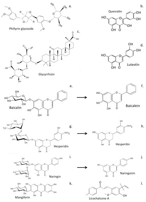 Antioxidants Free Full Text The Potential Of Flavonoids And