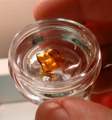 How to Make Cannabis Shatter | Extraction Magazine