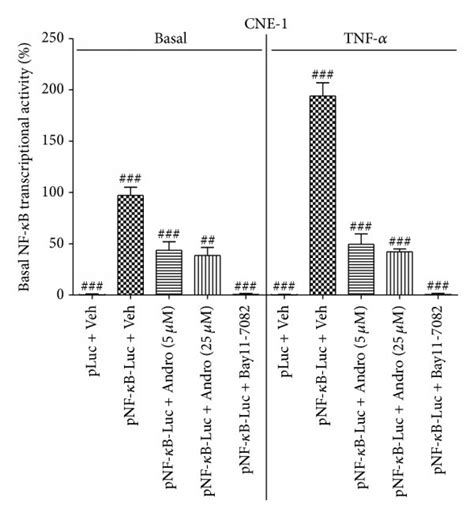 Andro inhibited the transcriptional activity of NF κB in HK1 a and