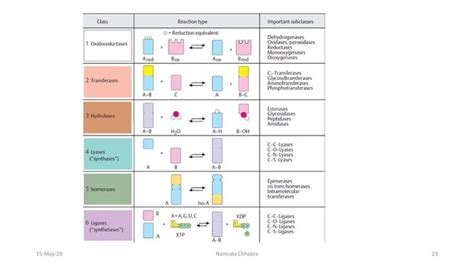 Enzyme classification