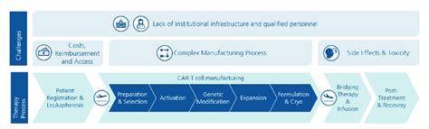 CAR-T cell therapy process and its challenges. | Download Scientific Diagram