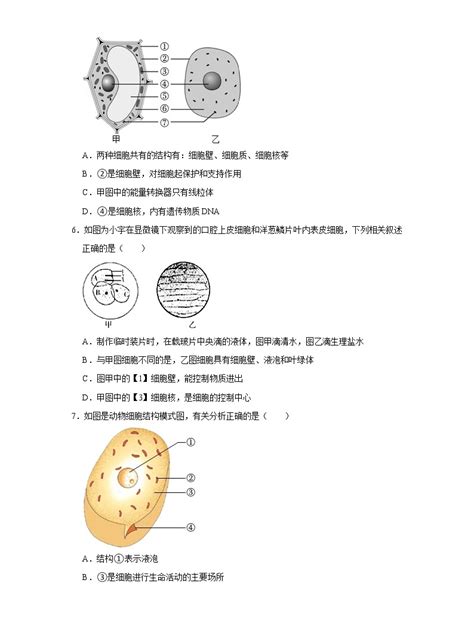 初中生物人教版 新课标七年级上册第二单元 生物体的结构层次第一章 细胞是生命活动的基本单位第三节 动物细胞精品ppt课件 教习网课件下载