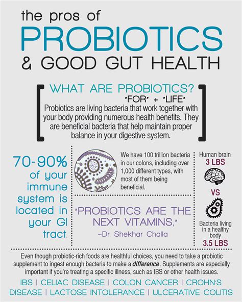 How Probiotics Help Maintain Your Gut Healthy In Search Of Health