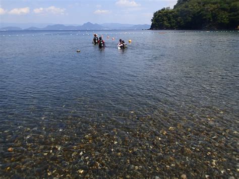 秋の3連休、お出かけ日和 サカイミサドットコム