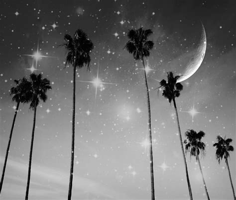 Black And White Stars Photography