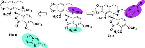 Imidazo B Thiazole Coupled Natural Noscapine Derivatives As