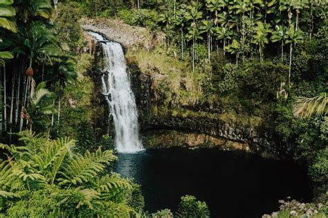 Mysteries Of Hawaii S Hidden Valleys Touristsecrets