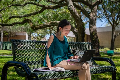 Explore Usf Transfer University Of South Florida