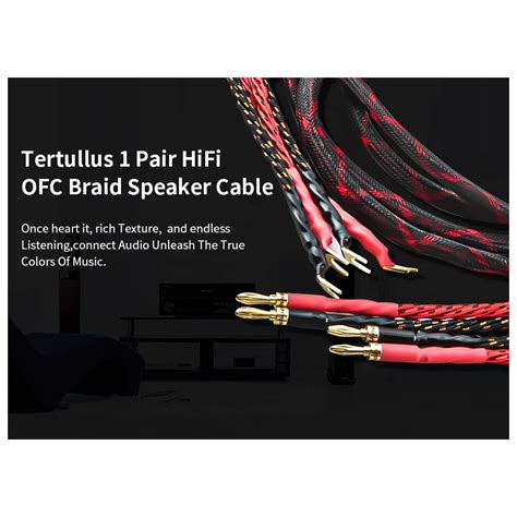 Buy Tertullus 1 Pair HiFi OFC Braid Speaker Cable With Banana Plug To