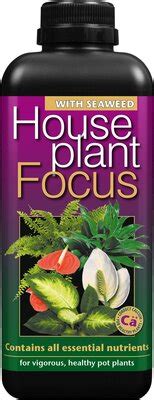 Houseplant Focus 1L The Gardens Group