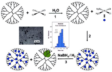 Etapas En La S Ntesis De Nanopart Culas De Platino Encapsuladas En Un