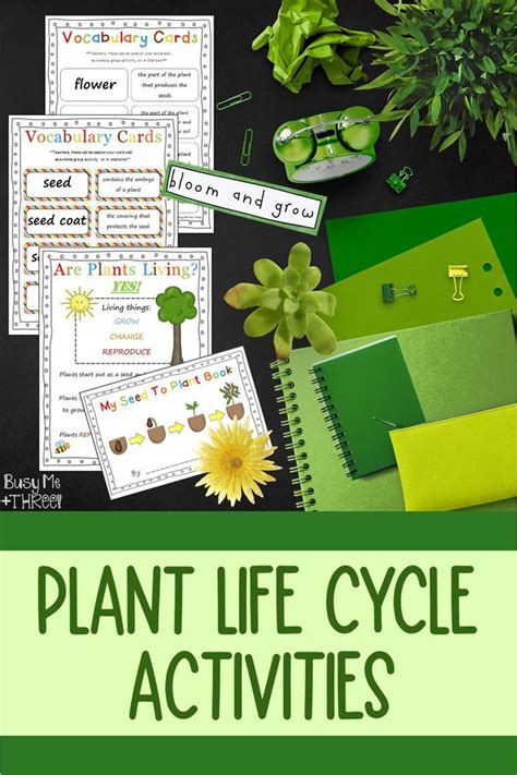 Plant Life Cycle Worksheets Observation Journal Crafty Posters