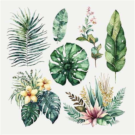 Premium Vector Watercolor Tropical Floral Illustration Set With Green