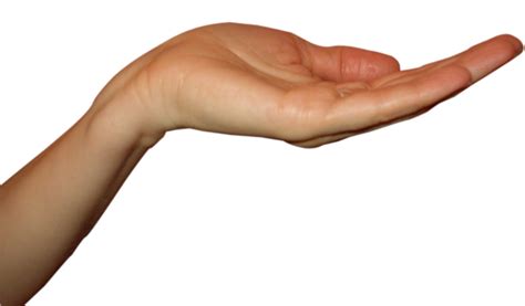 Single Hand Png Photo