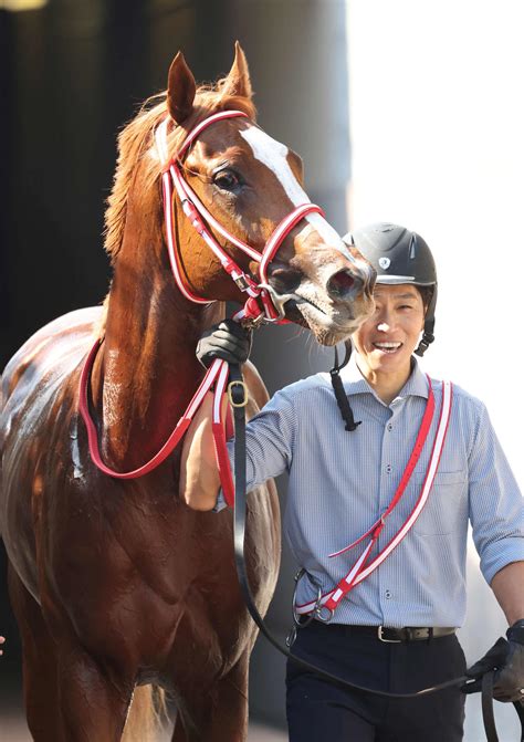 凱旋門賞馬全弟シンエンペラー本領見せる「行きっぷりも素軽くなってきた」吉田助手／京都2歳s 2歳馬特集 競馬写真ニュース 日刊スポーツ